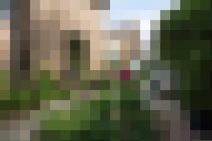 Achter de Hoven 33 Buchten thumbnail 38