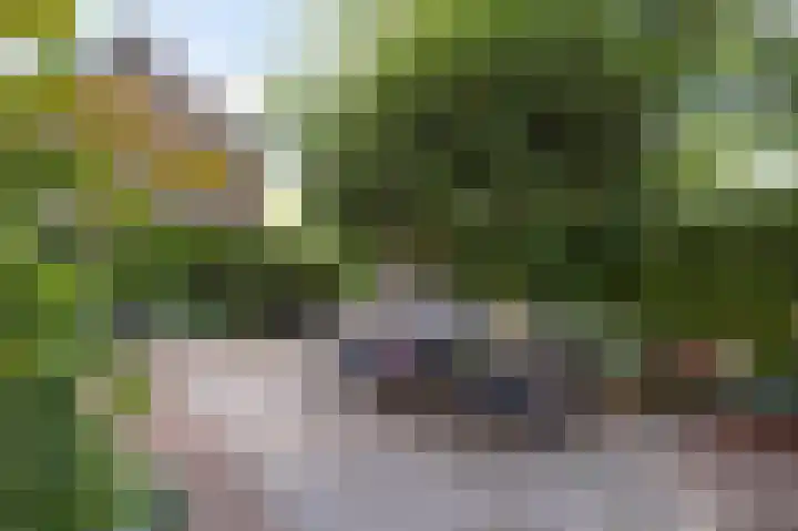 Achter de Hoven 33 Buchten thumbnail 40