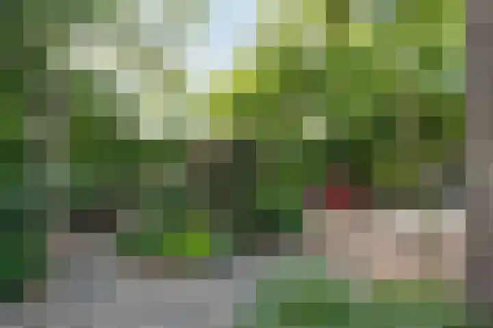 Achter de Hoven 33 Buchten thumbnail 43
