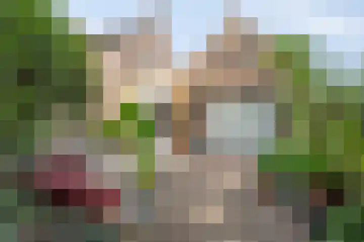 Achter de Hoven 33 Buchten thumbnail 46