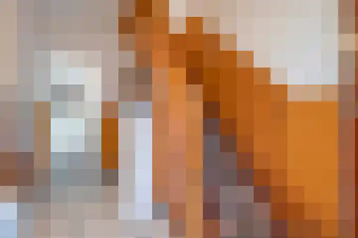 Achter de Hoven 33 Buchten thumbnail 5