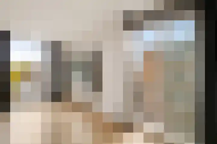 Achter de Hoven 34 b Leeuwarden thumbnail 12