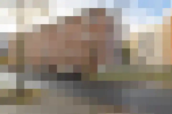 Achter de Hoven 34 b Leeuwarden thumbnail 33