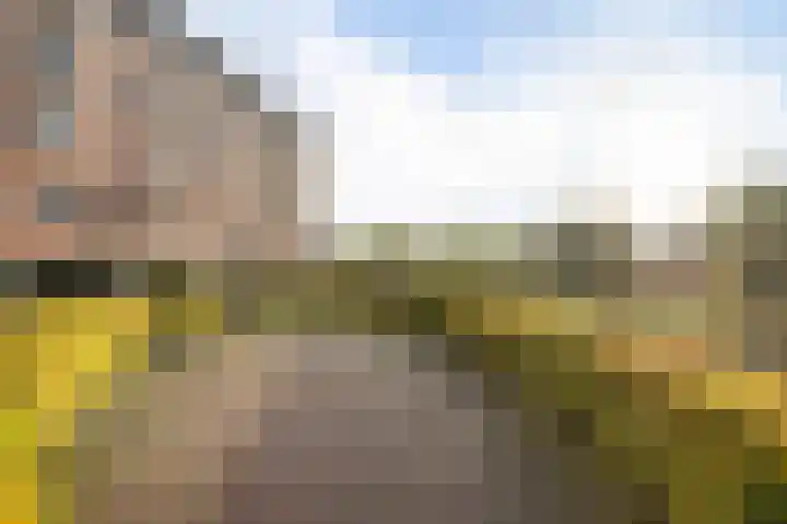 Achter de Hoven 34 b Leeuwarden thumbnail 36