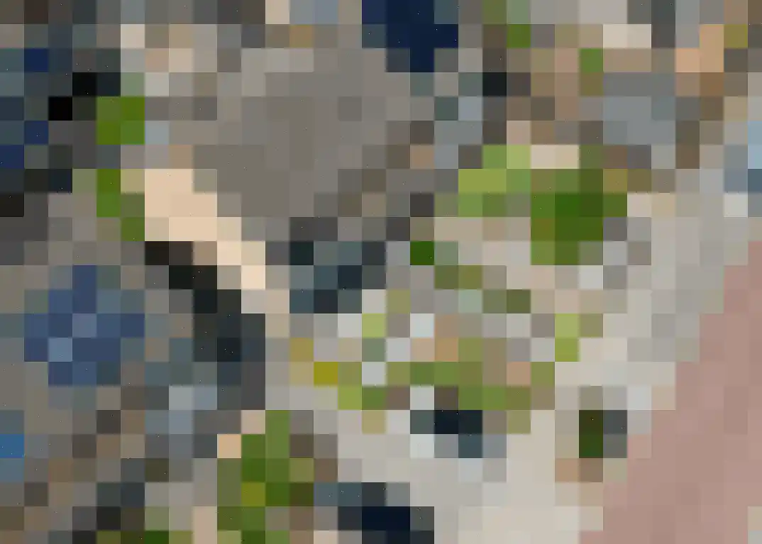 Achter de Hoven 43 Wijhe thumbnail 40