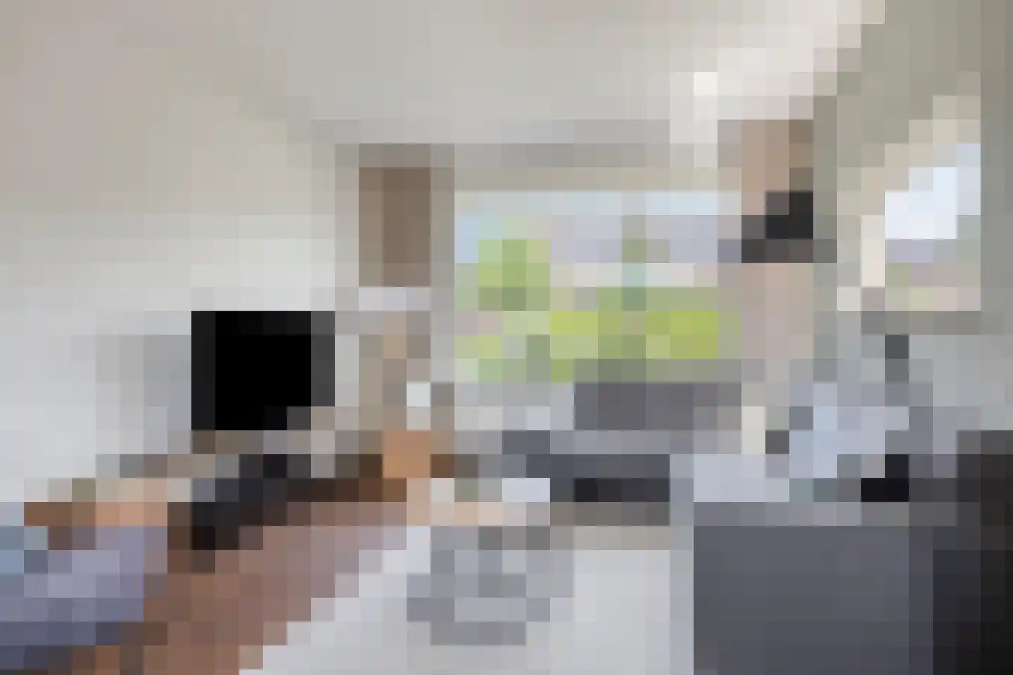 Achter de Hoven 43 Wijhe thumbnail 5