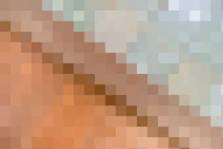 Achter de Hoven 5 Berg en Terblijt thumbnail 18