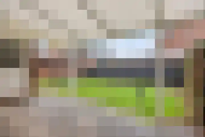 Achter de Hoven 5 Berg en Terblijt thumbnail 27