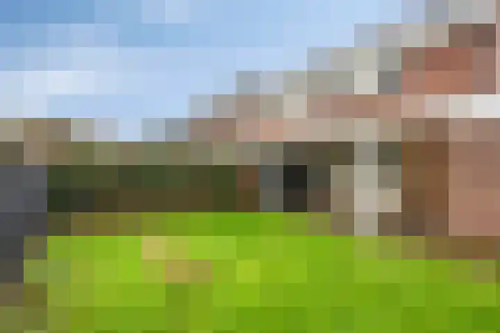 Achter de Hoven 5 Berg en Terblijt thumbnail 28