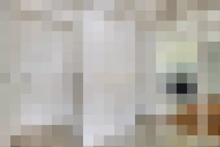 Achter de Hoven 5 Berg en Terblijt thumbnail 7