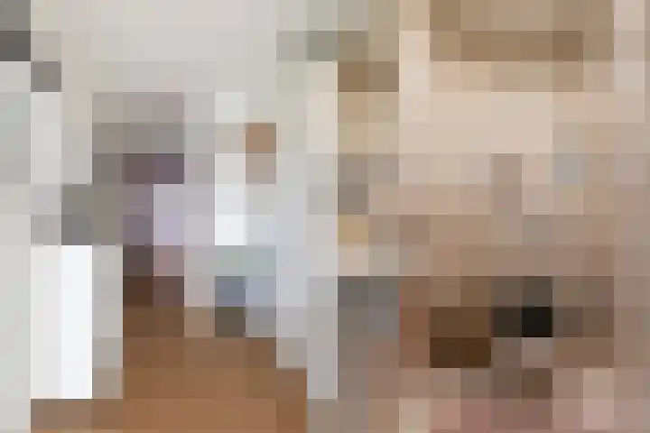 Achter de Hoven 53 Leeuwarden thumbnail 17