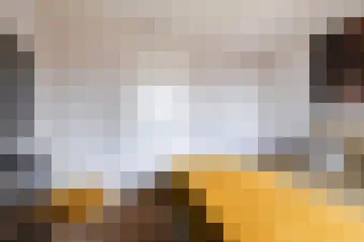 Achter de Hoven 53 Leeuwarden thumbnail 19