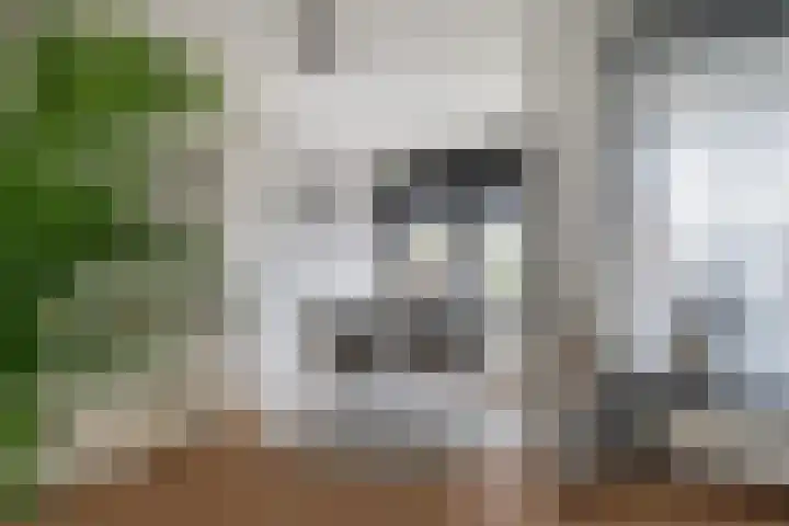 Achter de Hoven 53 Leeuwarden thumbnail 28
