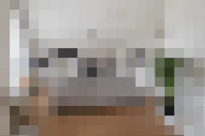 Achter de Hoven 53 Leeuwarden thumbnail 29