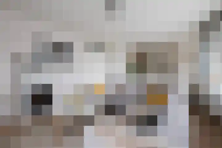 Achter de Hoven 53 Leeuwarden thumbnail 31