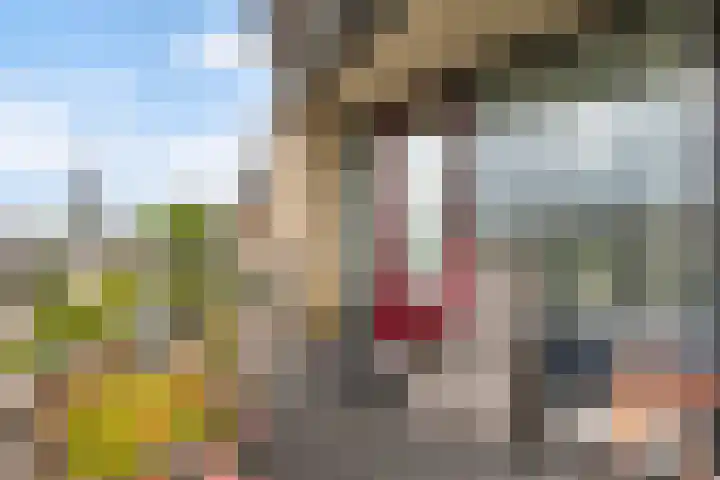 Achter de Hoven 53 Leeuwarden thumbnail 34