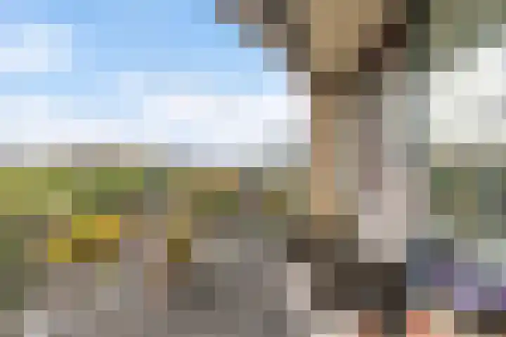 Achter de Hoven 53 Leeuwarden thumbnail 35