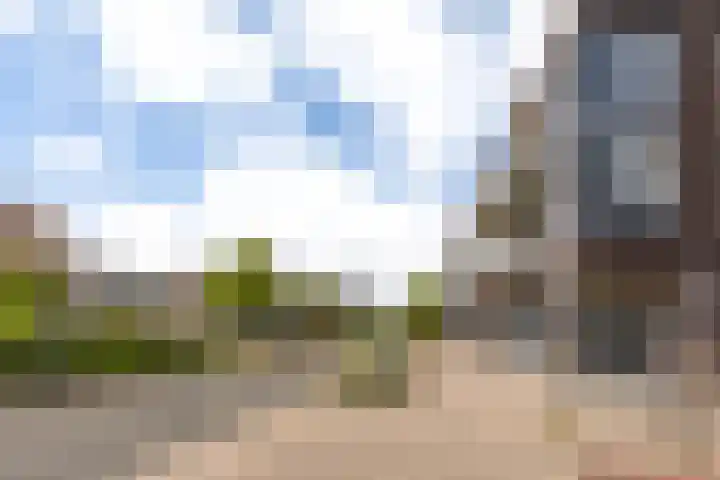 Achter de Hoven 53 Leeuwarden thumbnail 39