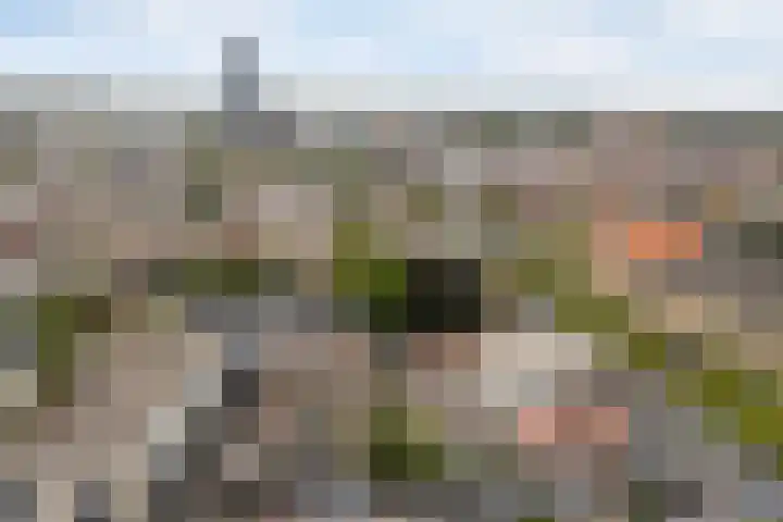 Achter de Hoven 53 Leeuwarden thumbnail 43