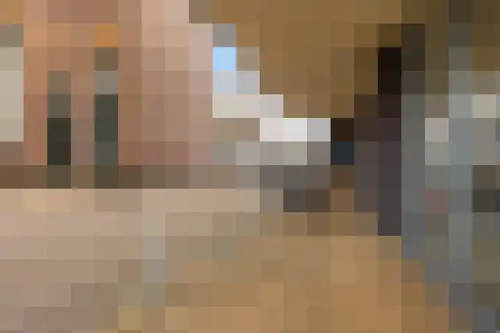 Achter de Hoven 53 Leeuwarden thumbnail 6