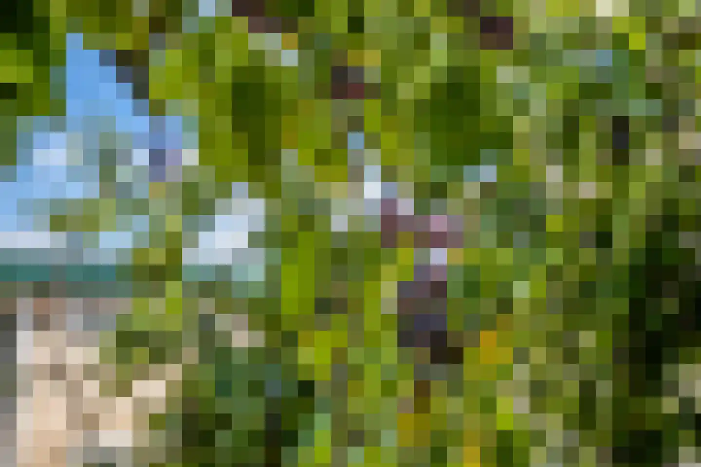 Achter de Hoven 54 Berg en Terblijt thumbnail 32