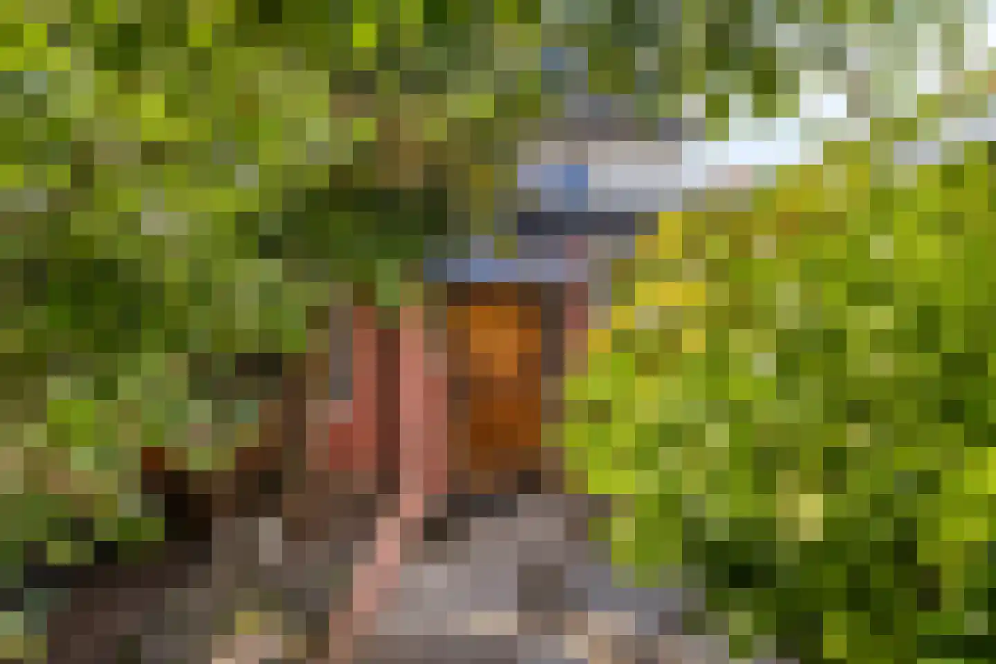 Achter de Hoven 54 Berg en Terblijt thumbnail 33