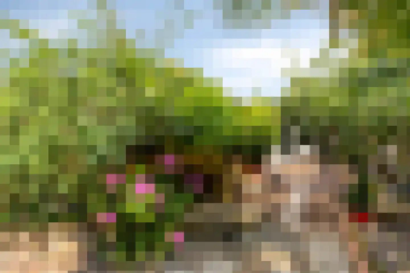 Achter de Hoven 54 Berg en Terblijt thumbnail 35