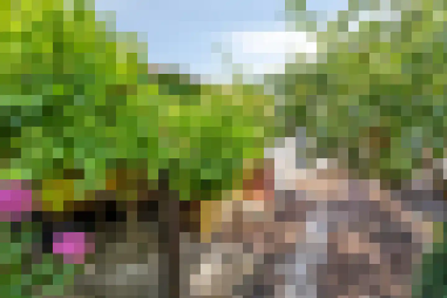 Achter de Hoven 54 Berg en Terblijt thumbnail 36