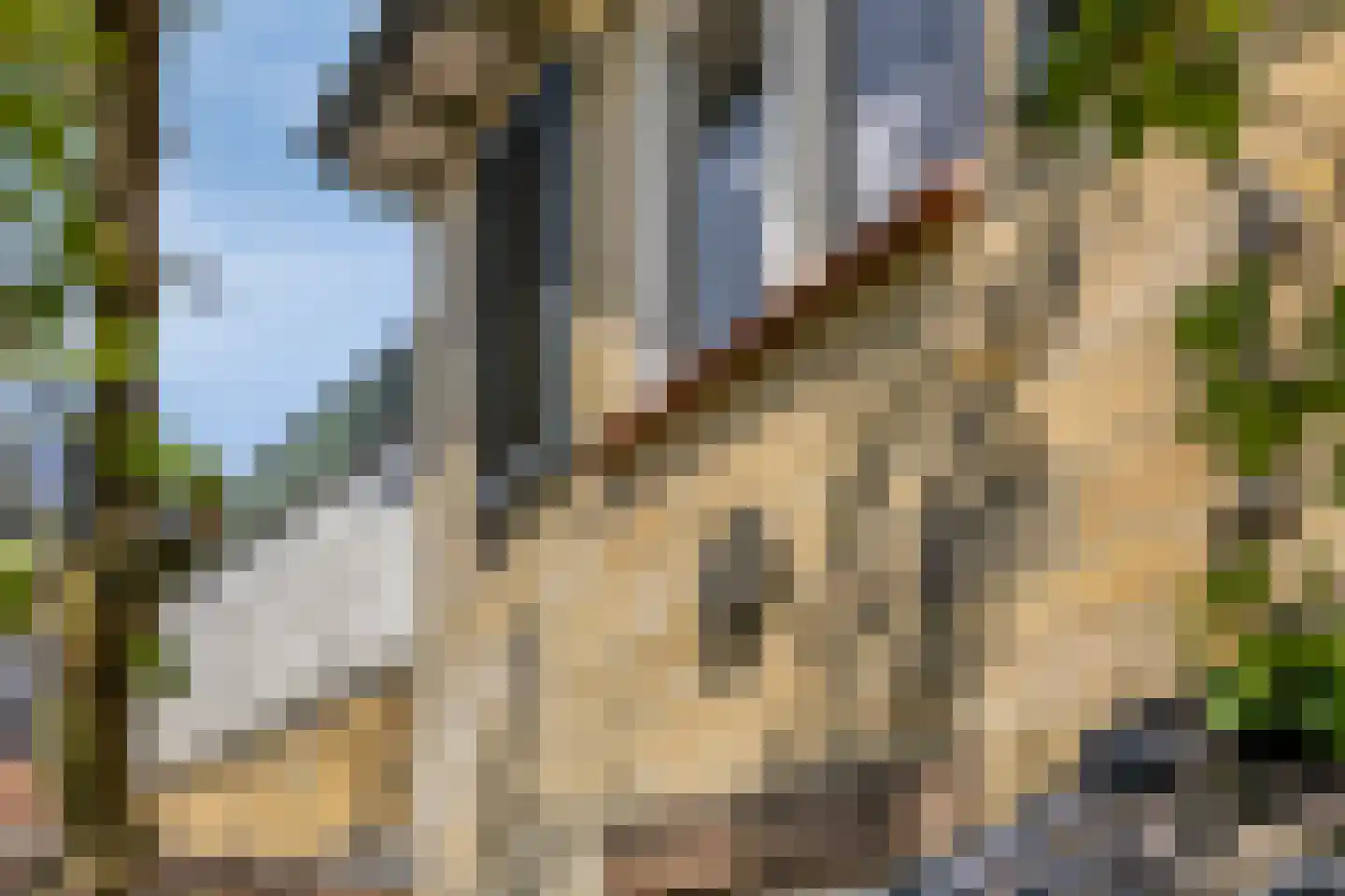 Achter de Hoven 54 Berg en Terblijt thumbnail 38