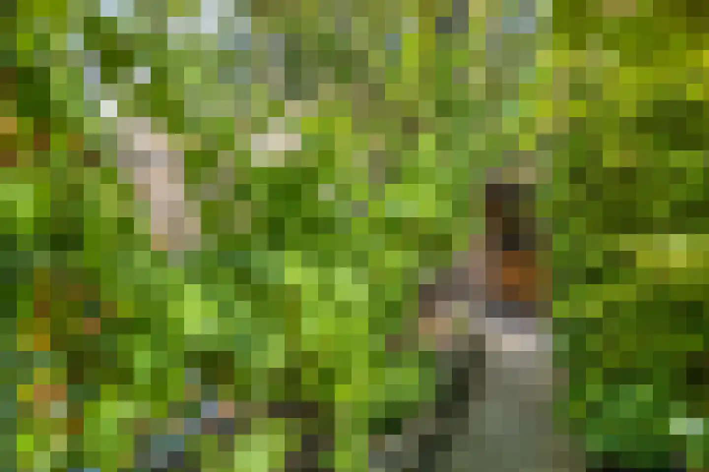 Achter de Hoven 54 Berg en Terblijt thumbnail 4