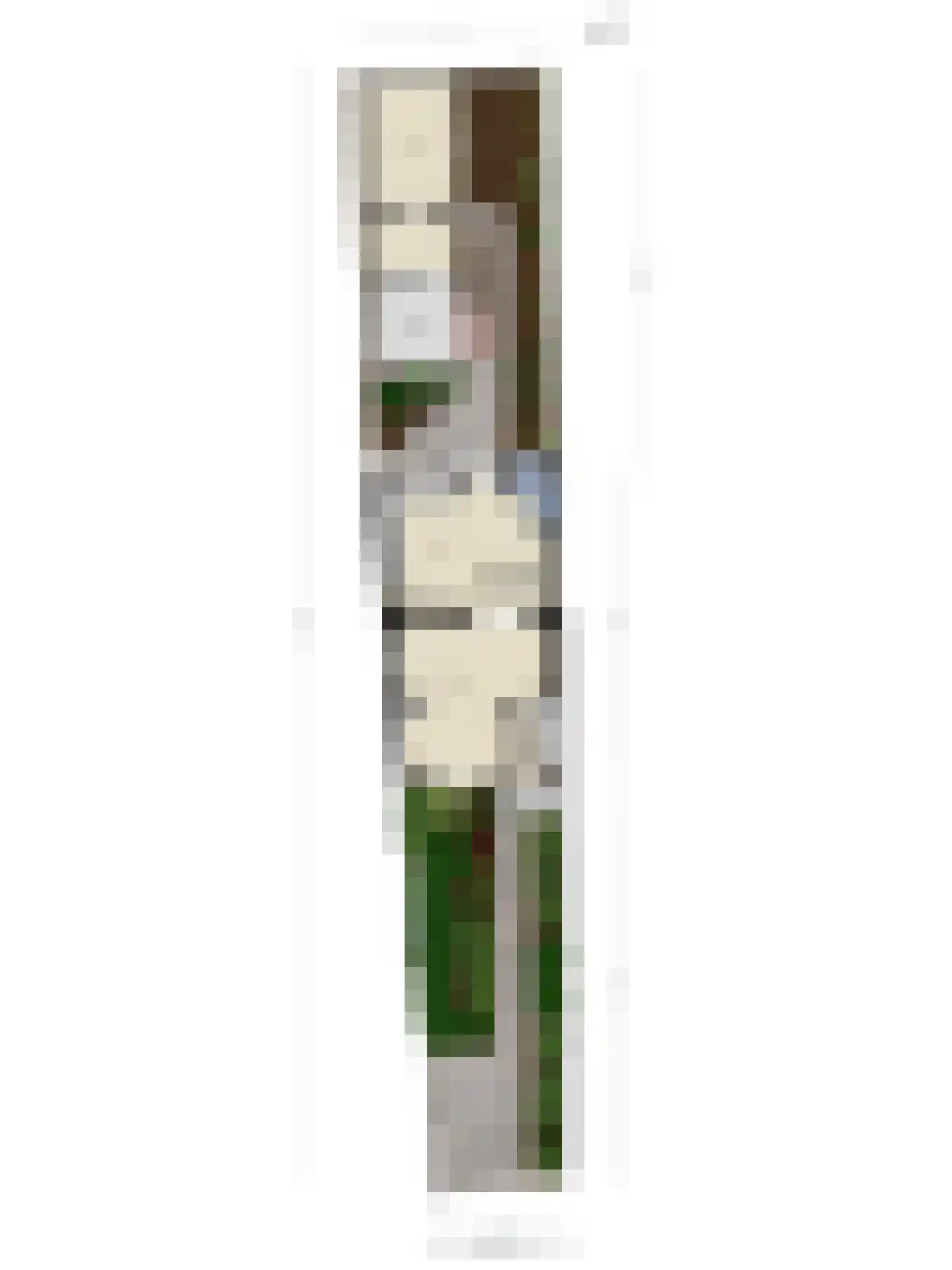 Achter de Hoven 54 Berg en Terblijt thumbnail 41