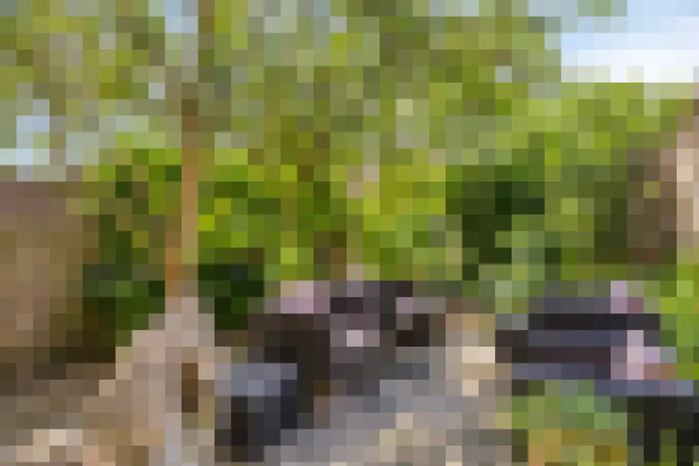 Achter de Hoven 54 Berg en Terblijt thumbnail 5