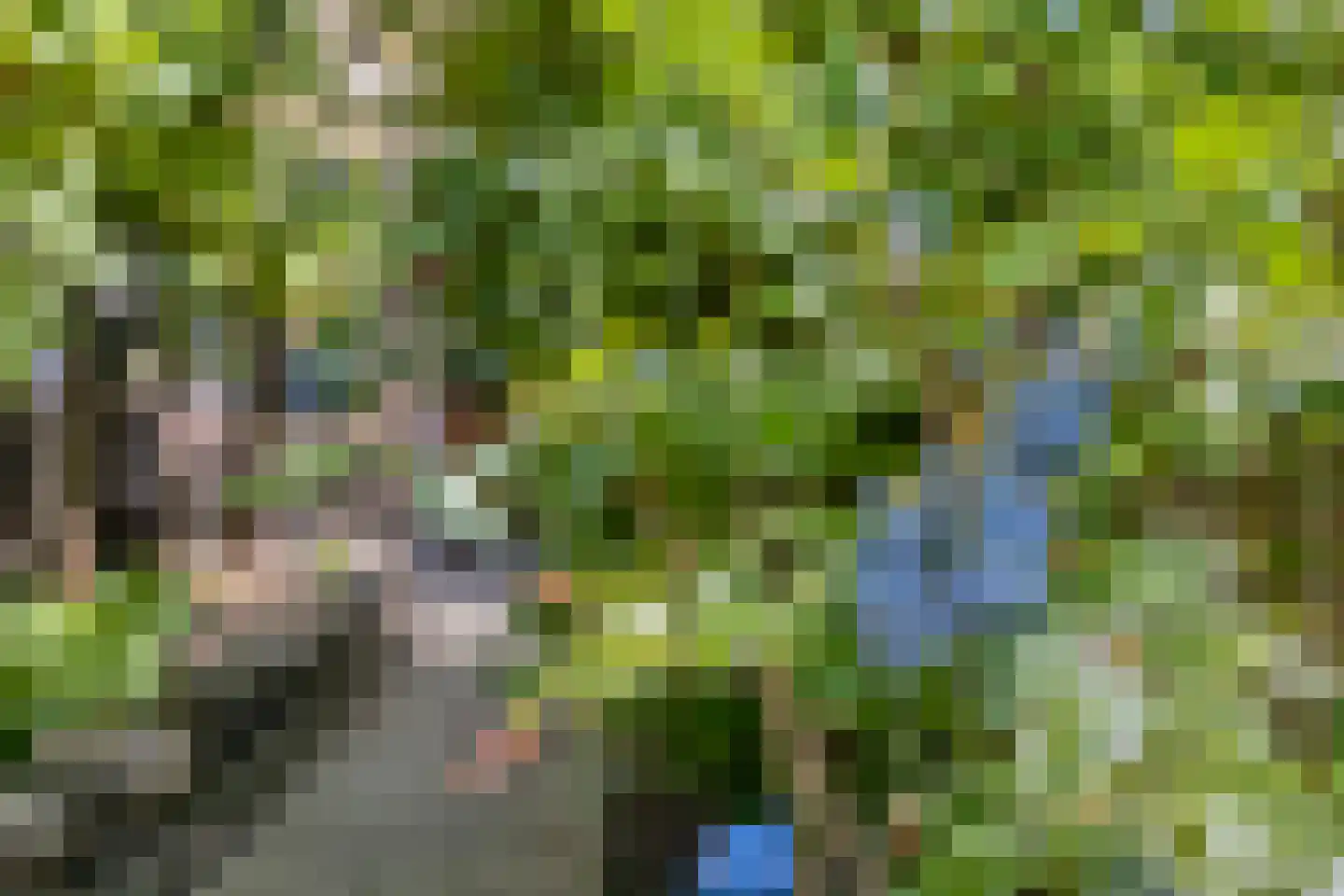 Achter de Hoven 54 Berg en Terblijt thumbnail 8