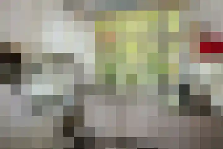 Achter de Hoven 57 Deventer thumbnail 11