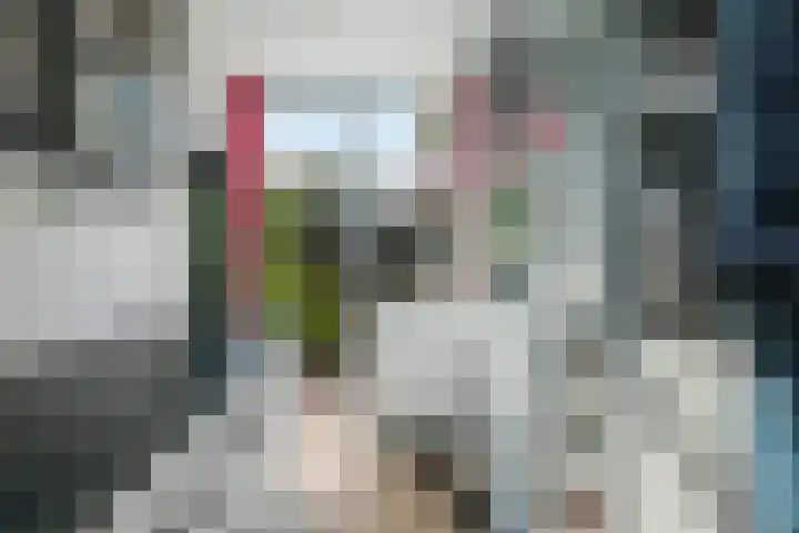 Achter de Hoven 57 Deventer thumbnail 12