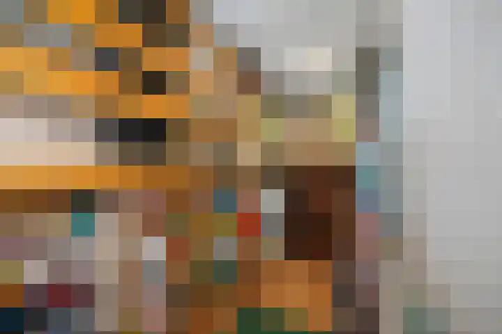 Achter de Hoven 57 Deventer thumbnail 13