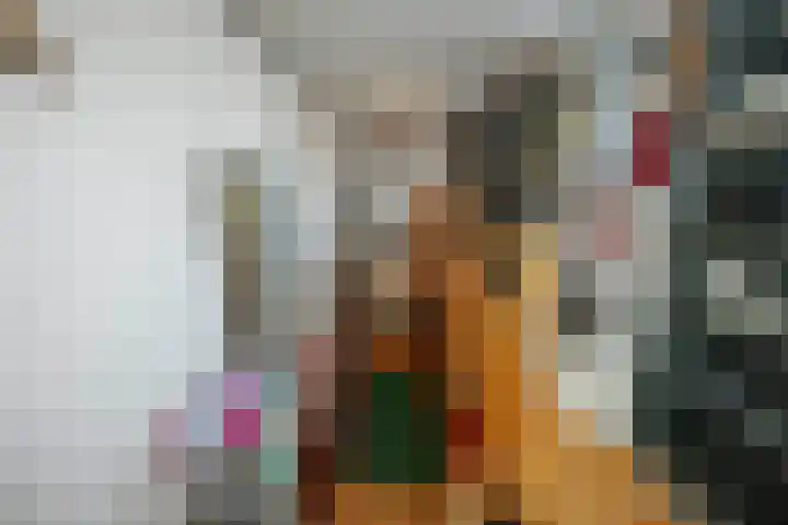 Achter de Hoven 57 Deventer thumbnail 14