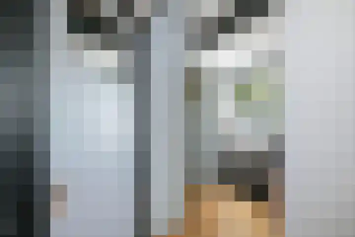 Achter de Hoven 57 Deventer thumbnail 15