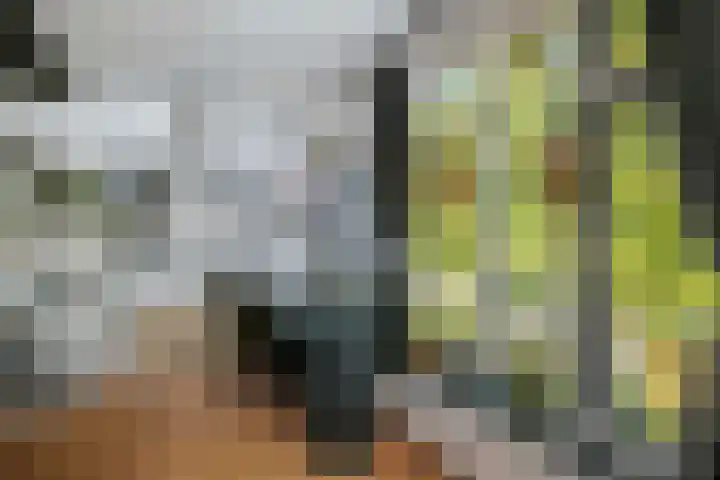 Achter de Hoven 57 Deventer thumbnail 17