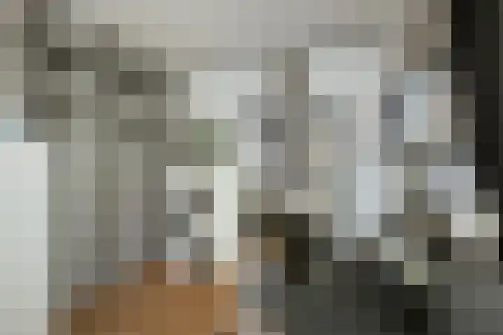 Achter de Hoven 57 Deventer thumbnail 18