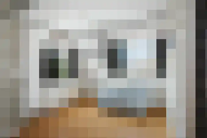 Achter de Hoven 57 Deventer thumbnail 20