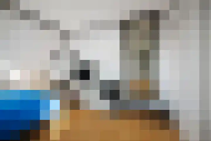 Achter de Hoven 57 Deventer thumbnail 22