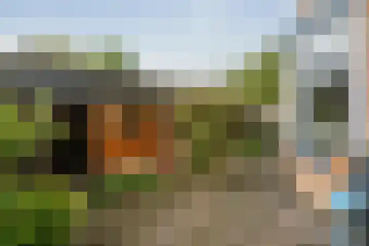 Achter de Hoven 57 Deventer thumbnail 26