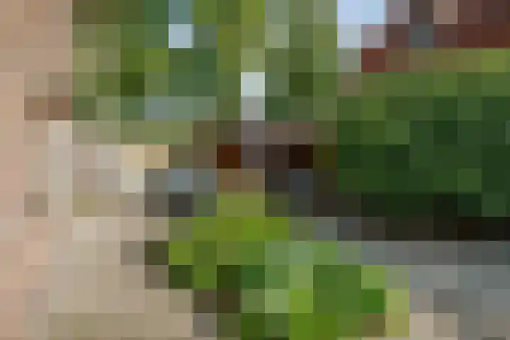 Achter de Hoven 57 Deventer thumbnail 27
