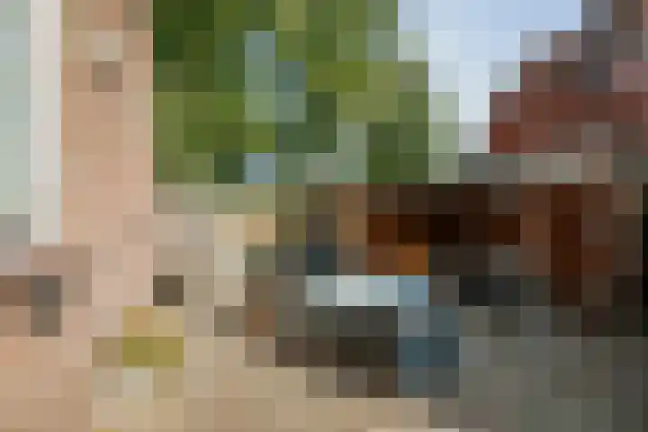 Achter de Hoven 57 Deventer thumbnail 28