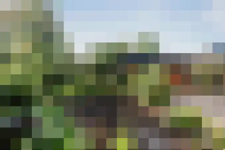 Achter de Hoven 57 Deventer thumbnail 30