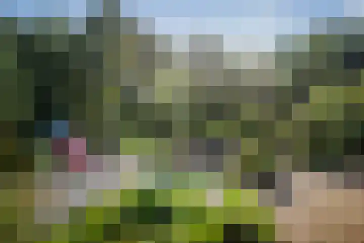 Achter de Hoven 57 Deventer thumbnail 31