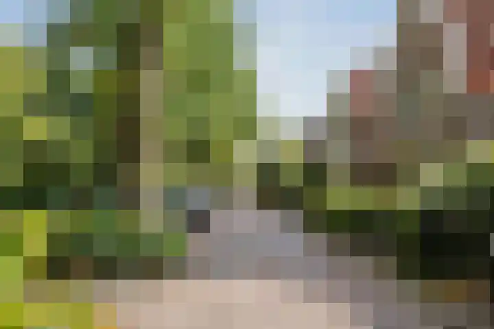 Achter de Hoven 57 Deventer thumbnail 34