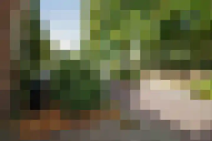 Achter de Hoven 57 Deventer thumbnail 35