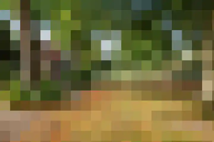 Achter de Hoven 57 Deventer thumbnail 36